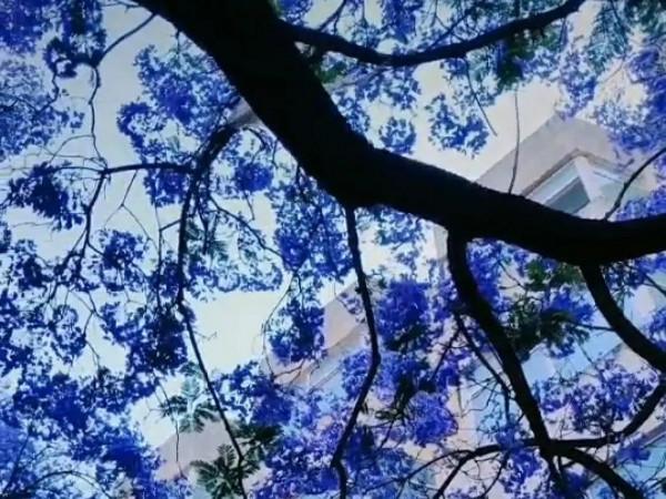 疫情困擾下，旅程依然勇毅前行——2021年個人自駕遊小結