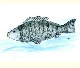 圖解山海經之南山三經:動物篇 圖解山海經之南山三經:動物篇