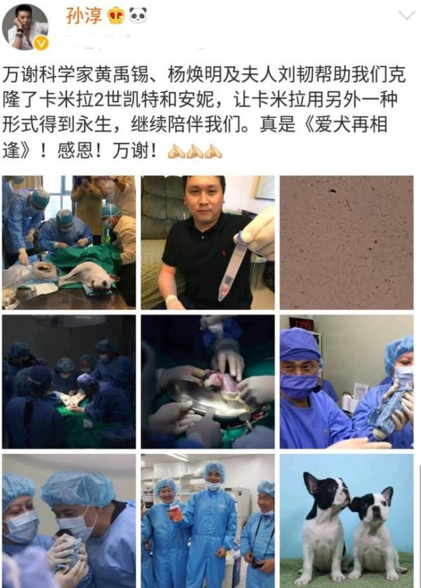 7對丁克夫妻，各有各的無奈，有人堅持43年，有人據說娃已經3歲