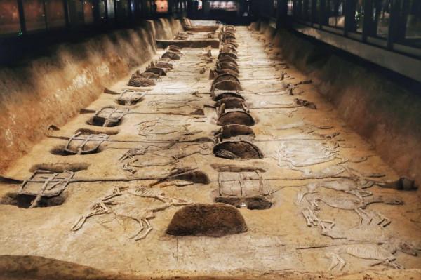 比兵馬俑早200多年的車馬陣，被譽為“中國僅有，天下第一”