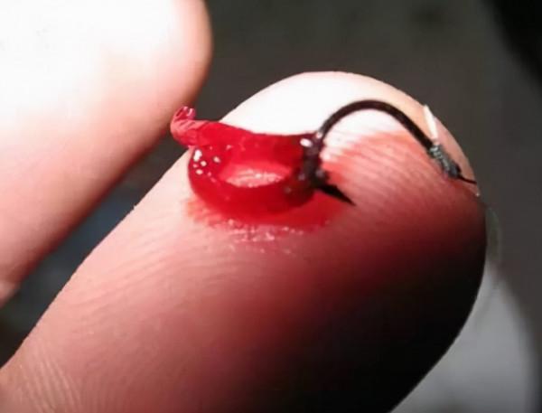 紅蟲和蚯蚓兩種蟲餌，我們在垂釣中選用哪個更合適？