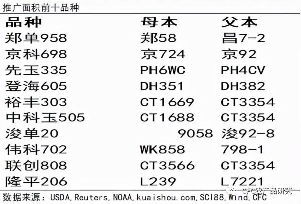 「2022玉米年報」緊平衡下，玉米震盪前行