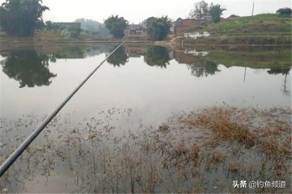 過了立冬去釣魚，大鯽魚都藏在這4個地方