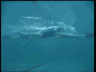 爬泳與仰泳前滾翻轉身的兩個動作要領和五個練習方法