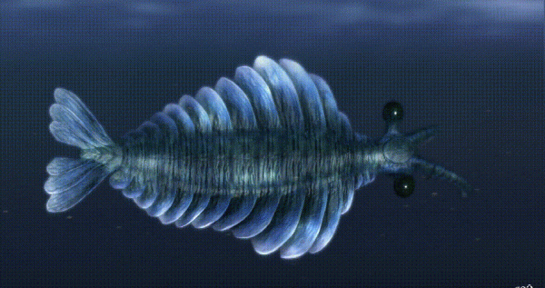 五億年前的軍備競賽,寒武紀動物們的攻掠與防守,誰才是贏家? 五億年前的軍備競賽,寒武紀動物們的攻掠與防守,誰才是贏家?