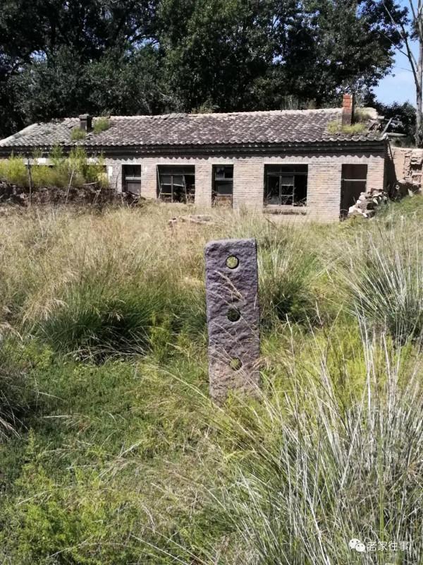 永不消失的大坡 永不消失的大坡