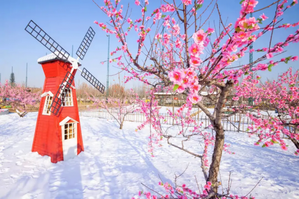 又一地開啟冰雪嘉年華！快來探尋冬日奇遇