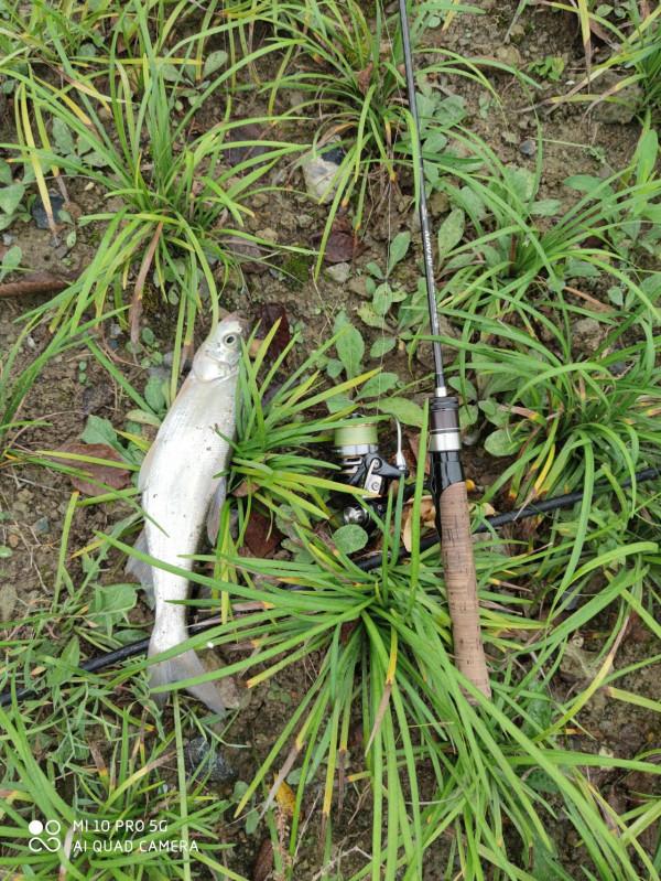 陰雨天氣果然魚口好