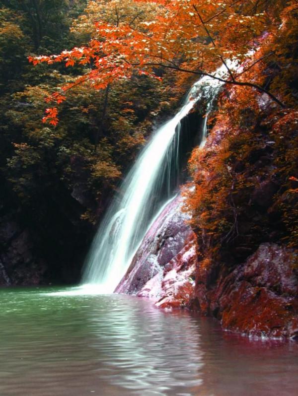 十一還是要來金絲峽，這些色彩你值得深藏