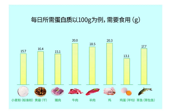 孩子吃高蛋白食物也長不高？這麼多年吃錯了