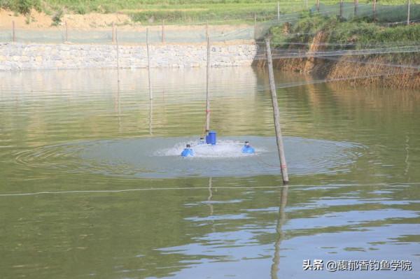 釣魚時魚沒活力，魚不愛開口怎麼辦？讓魚口變好且充滿活力的方法