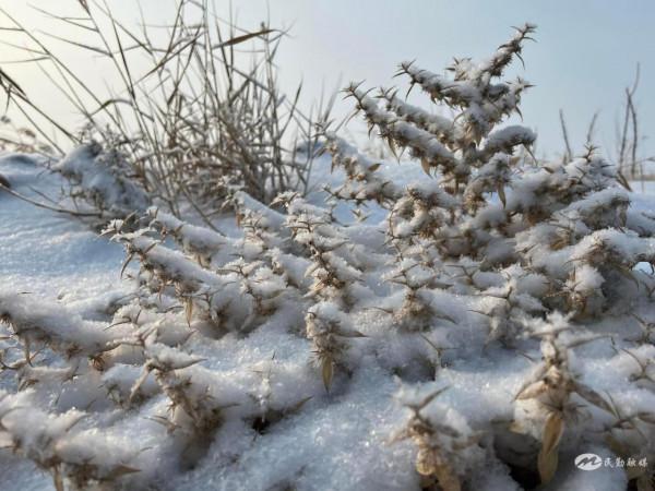 【北國風光&CenterDot;美麗民勤】雪落騰格里