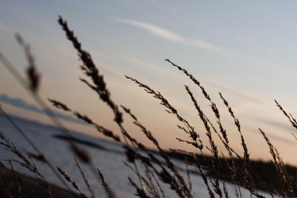 毫無人工打造痕跡，地面為何會冒出這樣巨大的矩形棋盤？