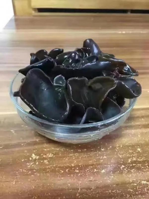 來自東北大山裡的奇珍異寶，你見過吃過幾種，都吃過的是純東北人