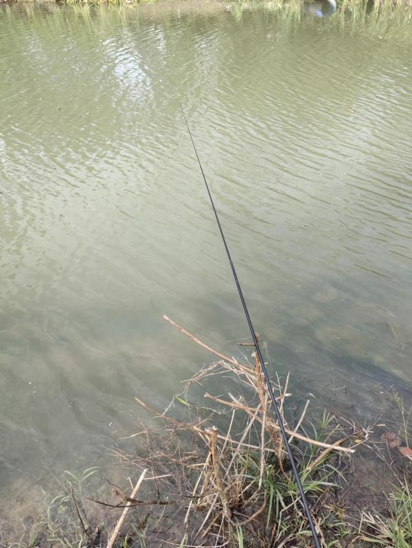 老釣魚人提醒秋冬季釣魚上魚有“窗囗期”,抓住時機上魚不難 老釣魚人提醒秋冬季釣魚上魚有“窗囗期”,抓住時機上魚不難