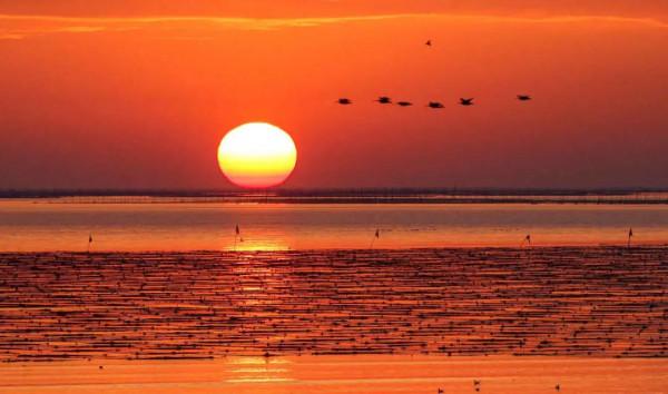 2022年的第一天，我們把長三角41座城市的太陽看了個遍