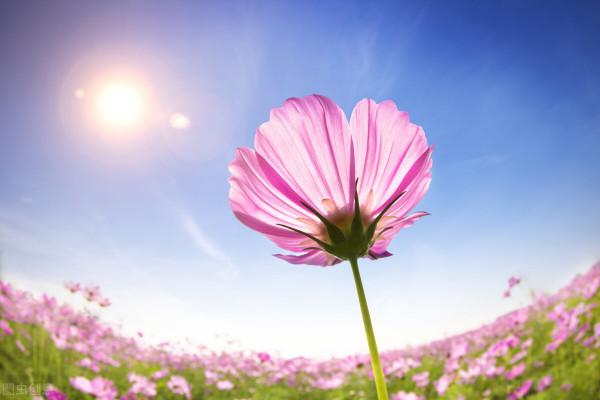 2021年，我最喜歡的100句好文案