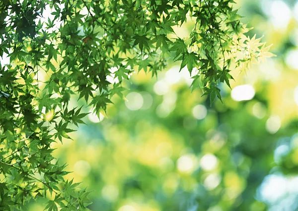 這個指標別不在意，可能是腫瘤作怪