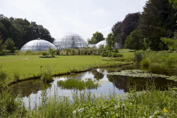 今年12月享受蘇黎世神奇假期的8種方式 今年12月享受蘇黎世神奇假期的8種方式
