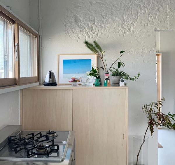 小夫妻買30㎡，撲滅小戶型居住難題：全屋不見牆，卻有9大功能區