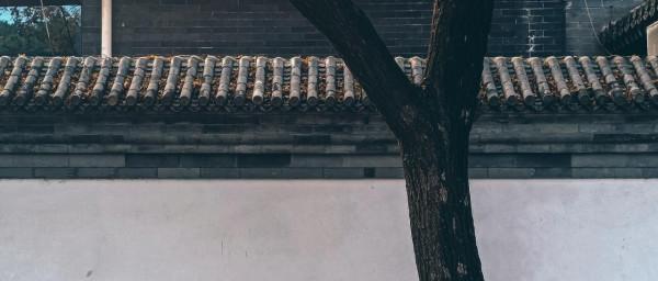 Redmi Note 11 Pro+節目的攝影作品