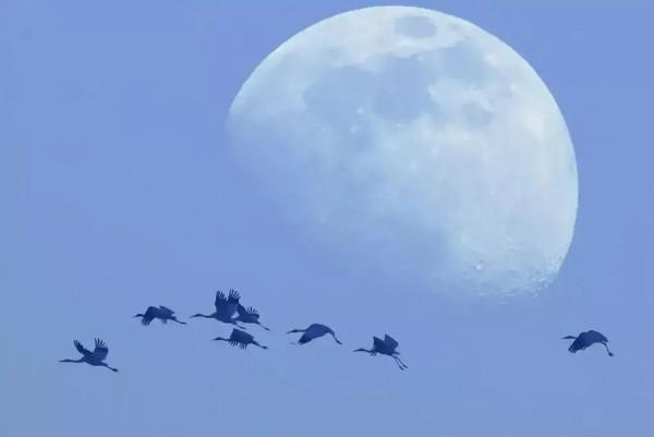 七律十首——《感懷》