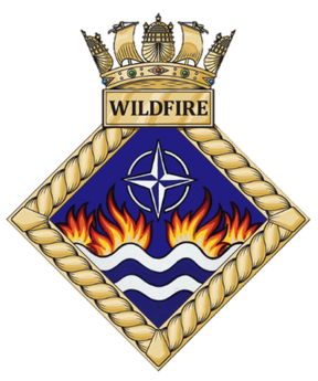 英國海軍各類標識：海軍預備隊