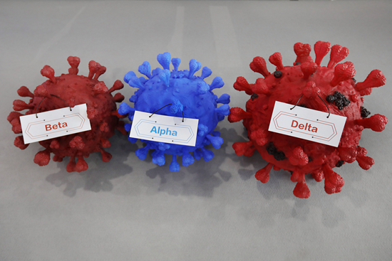 尋找“零號病例”