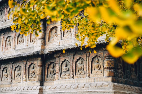 在北京過個秋天，立刻退掉了去騰衝的機票