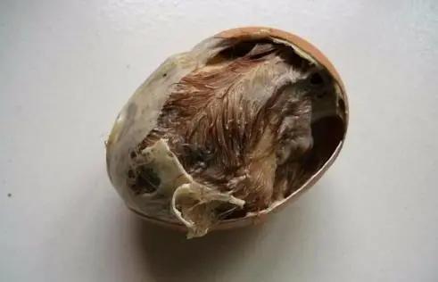 中國各地的十大“黑暗料理”，你吃過幾種？