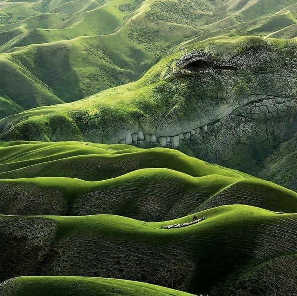 巧奪天工的大自然美景，許多動物渾然天成，莫非大自然也信二次元