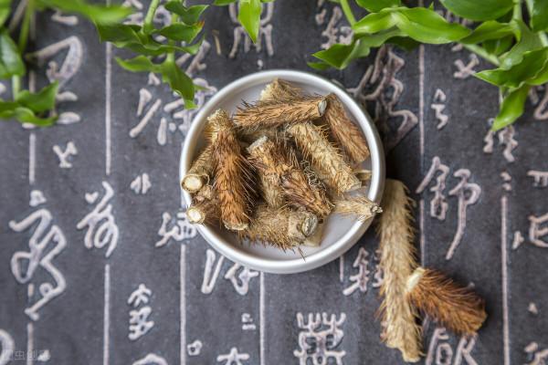 刺五加——一味可補脾、肺、腎、心的藥食同源中藥，不來了解下嗎