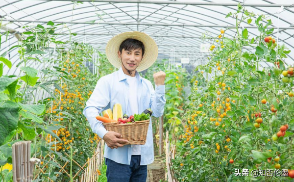 2021年打算辭職回農村的，可以試試這3個專案，小投資，高收入