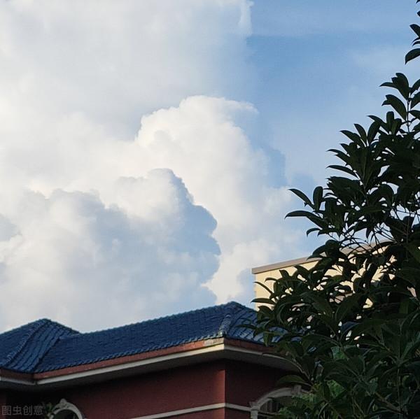 那些一眼驚鴻的句子 那些一眼驚鴻的句子