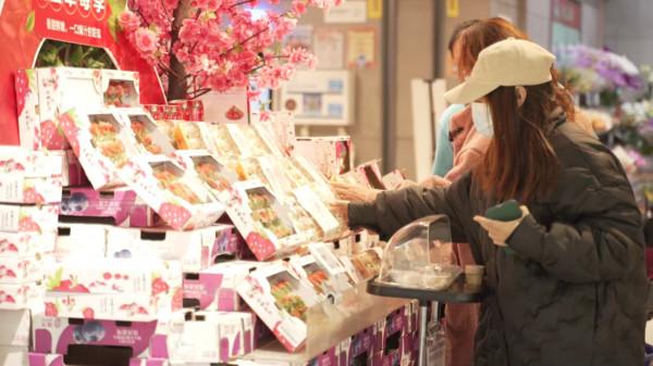 高山下的白草莓，一個海歸新農人的鄉村振興夢