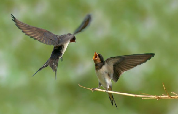能與世間萬物心有靈犀,並守著那份摯愛,你將看到不一樣的自己 能與世間萬物心有靈犀,並守著那份摯愛,你將看到不一樣的自己