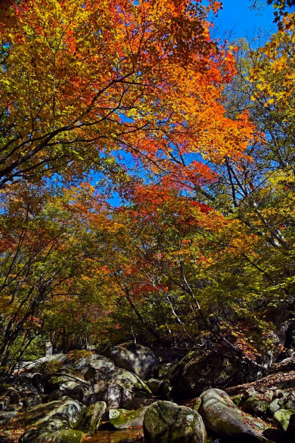 太美了！10個絕美的旅遊天堂，人少景美，你也應該在場啊