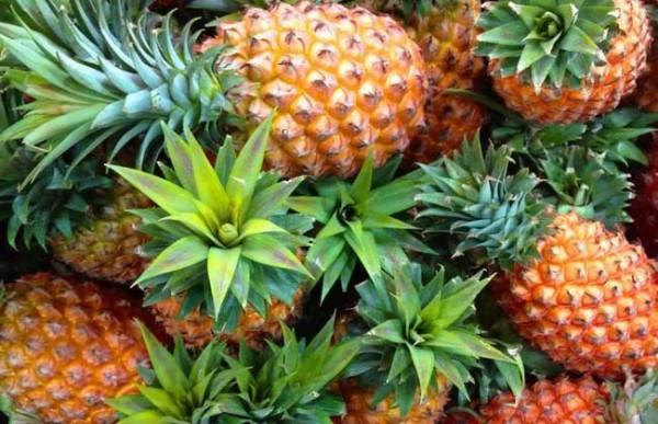 這些都是“養胃大王”,常吃脾胃強壯,給胃貼層“保護膜” 這些都是“養胃大王”,常吃脾胃強壯,給胃貼層“保護膜”