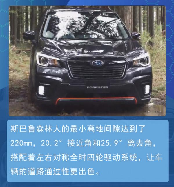 豐富配置看花眼 編輯教你如何挑選斯巴魯森林人