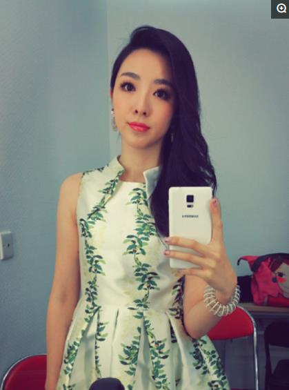 中國最漂亮的幾大女主持人,你最喜歡誰? 中國最漂亮的幾大女主持人,你最喜歡誰?