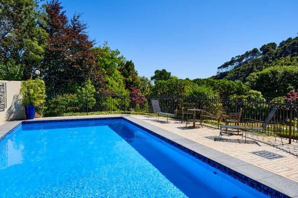 紐西蘭的普羅旺斯