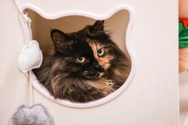 我像風一樣自由 我像風一樣自由