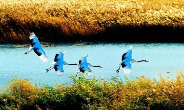 省內這幾條自駕路線,承包了最撩人的秋色!週末出發吧 省內這幾條自駕路線,承包了最撩人的秋色!週末出發吧