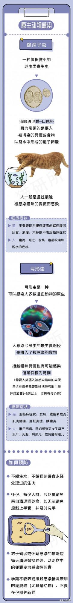 一張圖學會預防4類人貓共患病