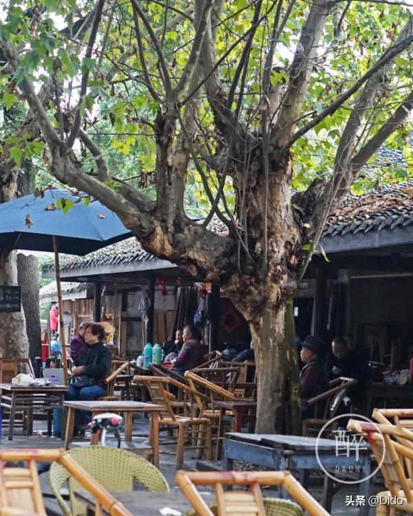 去彭鎮,可不要只曉得老茶館 去彭鎮,可不要只曉得老茶館