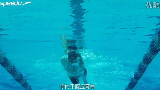 爬泳動作,五個頭部和手部最容易出現的常見錯誤問題 爬泳動作,五個頭部和手部最容易出現的常見錯誤問題