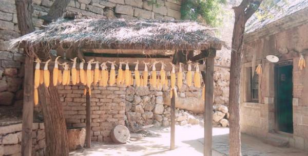 齊魯第一村朱家峪村，好好的古村，非要整個違和的仿古寨門