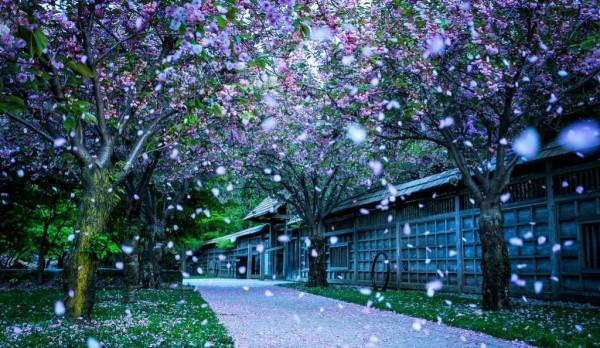 你不需要幫助他，他還懷疑你拿了他的東西