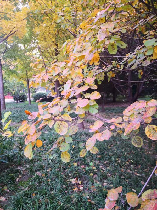 兩 岸 (詩歌外九首)北京 張新貴 兩 岸 (詩歌外九首)北京 張新貴