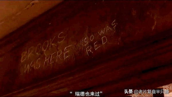 豆瓣第一，IMDB第一，但《肖申克的救贖》主角是誰？很多人不知道